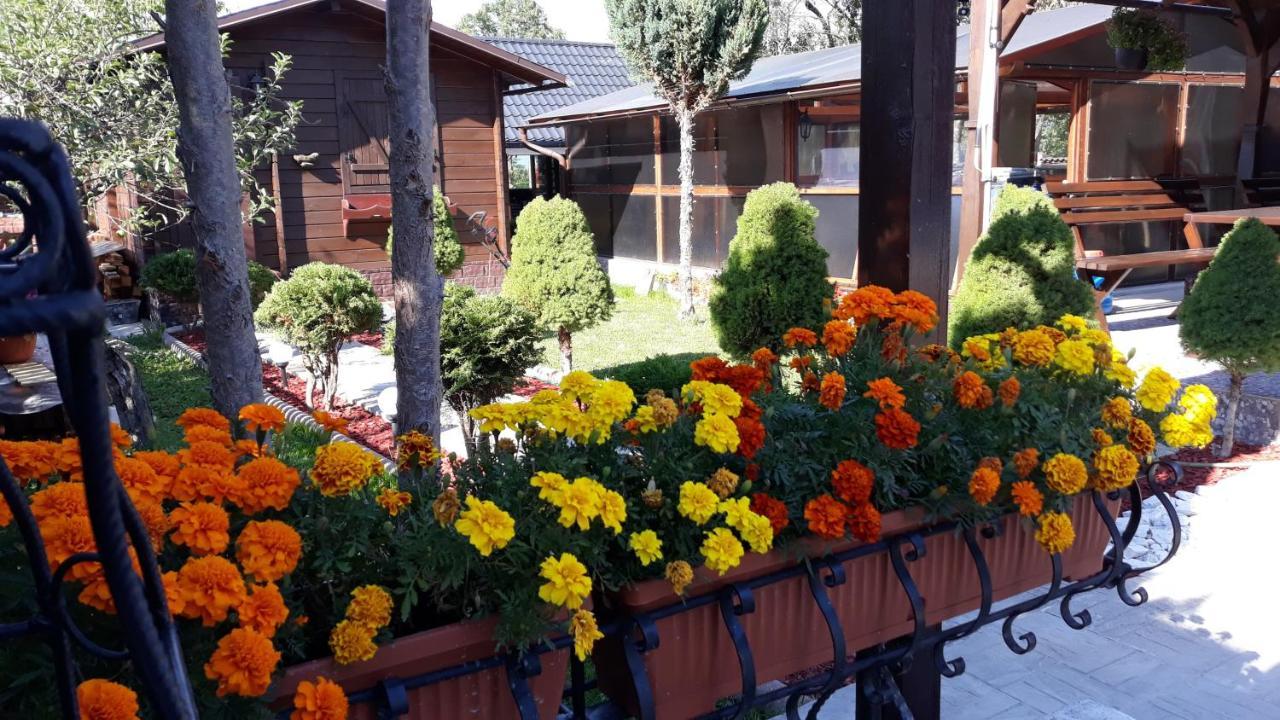 Casa Alberta Ocna Şugatag Екстериор снимка