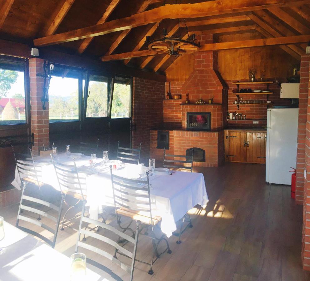 Casa Alberta Ocna Şugatag Екстериор снимка